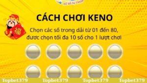 Cách chơi Keno cơ bản dành cho các tân binh mới tham gia 